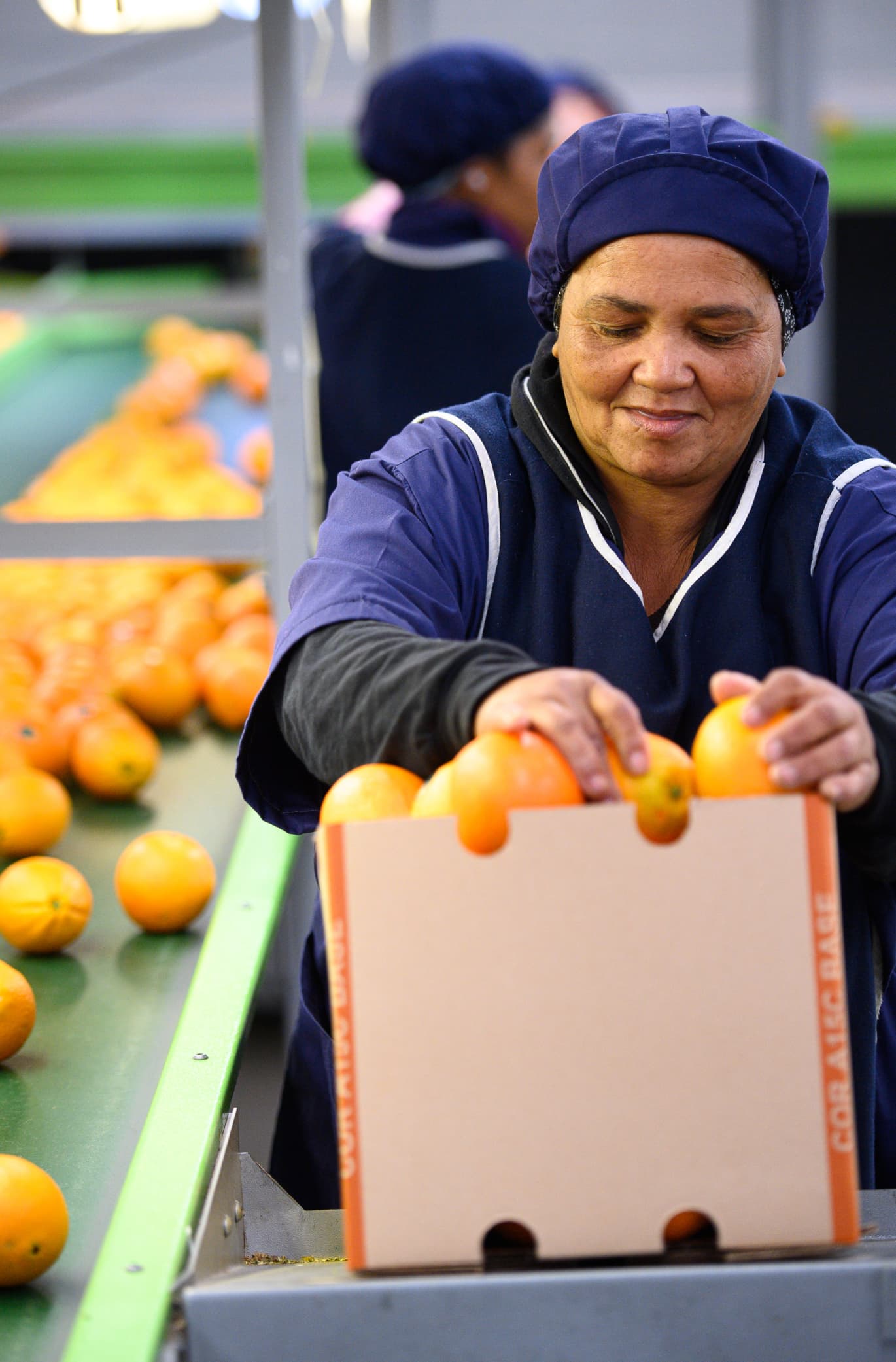 Photo of woman packing citrus into a box.